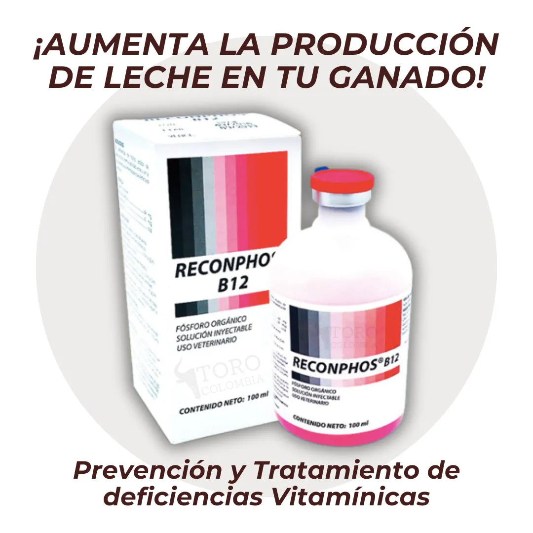 Reconphos B12 | Aumenta la producción de leche🐄