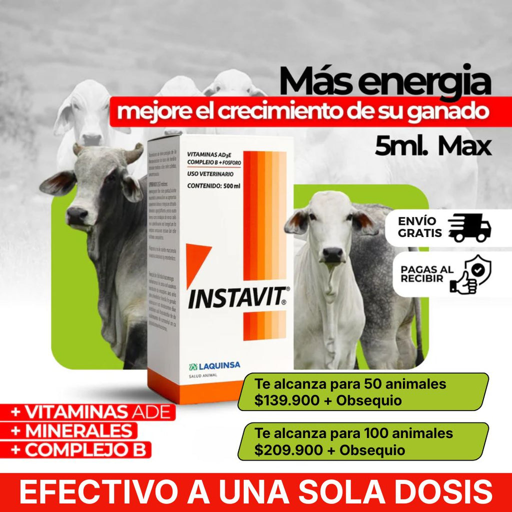 Instavit | Multivitamínico efectivo a una sola dosis🔻