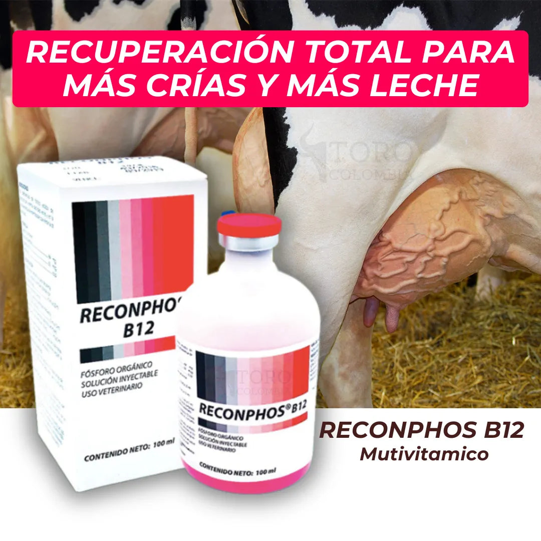 Reconphos B12 | Aumenta la producción de leche🐄