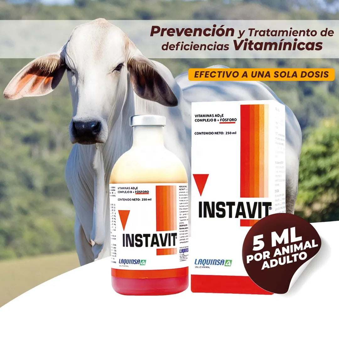 Instavit | Multivitamínico efectivo a una sola dosis🔻