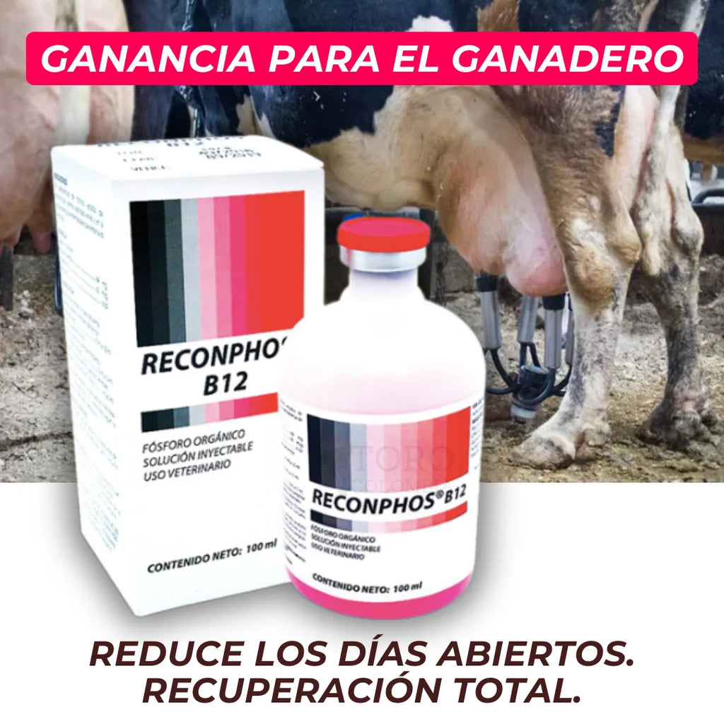 Reconphos B12 | Aumenta la producción de leche🐄