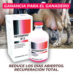 Reconphos B12 | Aumenta la producción de leche🐄
