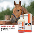 Instavit | Multivitamínico efectivo a una sola dosis🔻