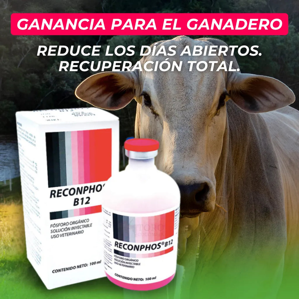 Reconphos B12 | Aumenta la producción de leche🐄